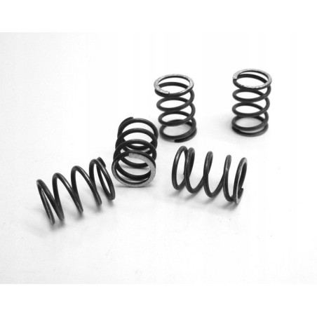 SPRĘŻYNA NACISKOWA d 1.0 Dz 9.0 L 13 – 5 szt.