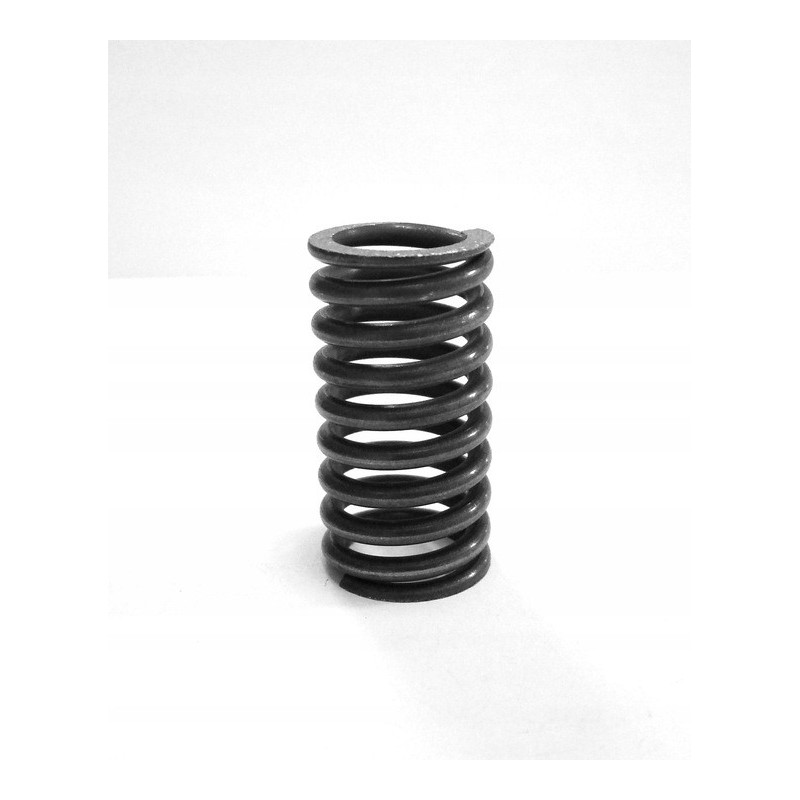 SPRĘŻYNA NACISKOWA d 2.5 Dz 18 L 35 – 3 szt.